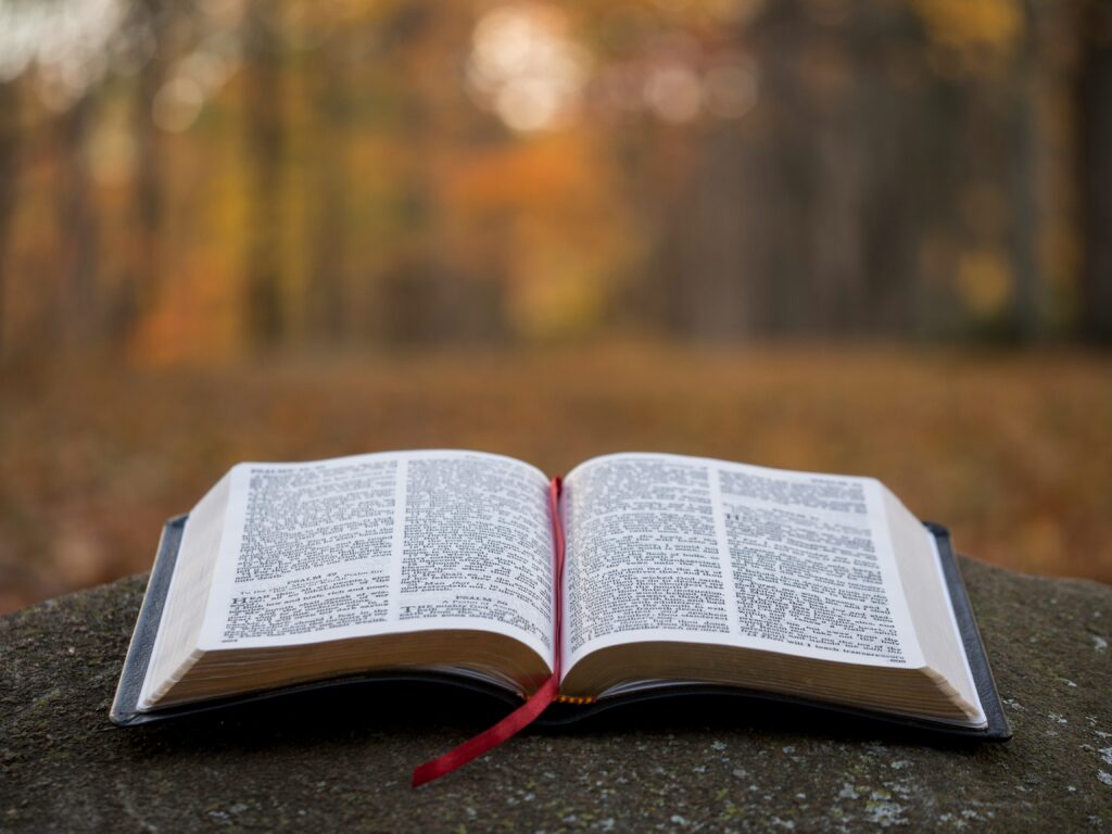 open bible with a woodland background for morning routine
