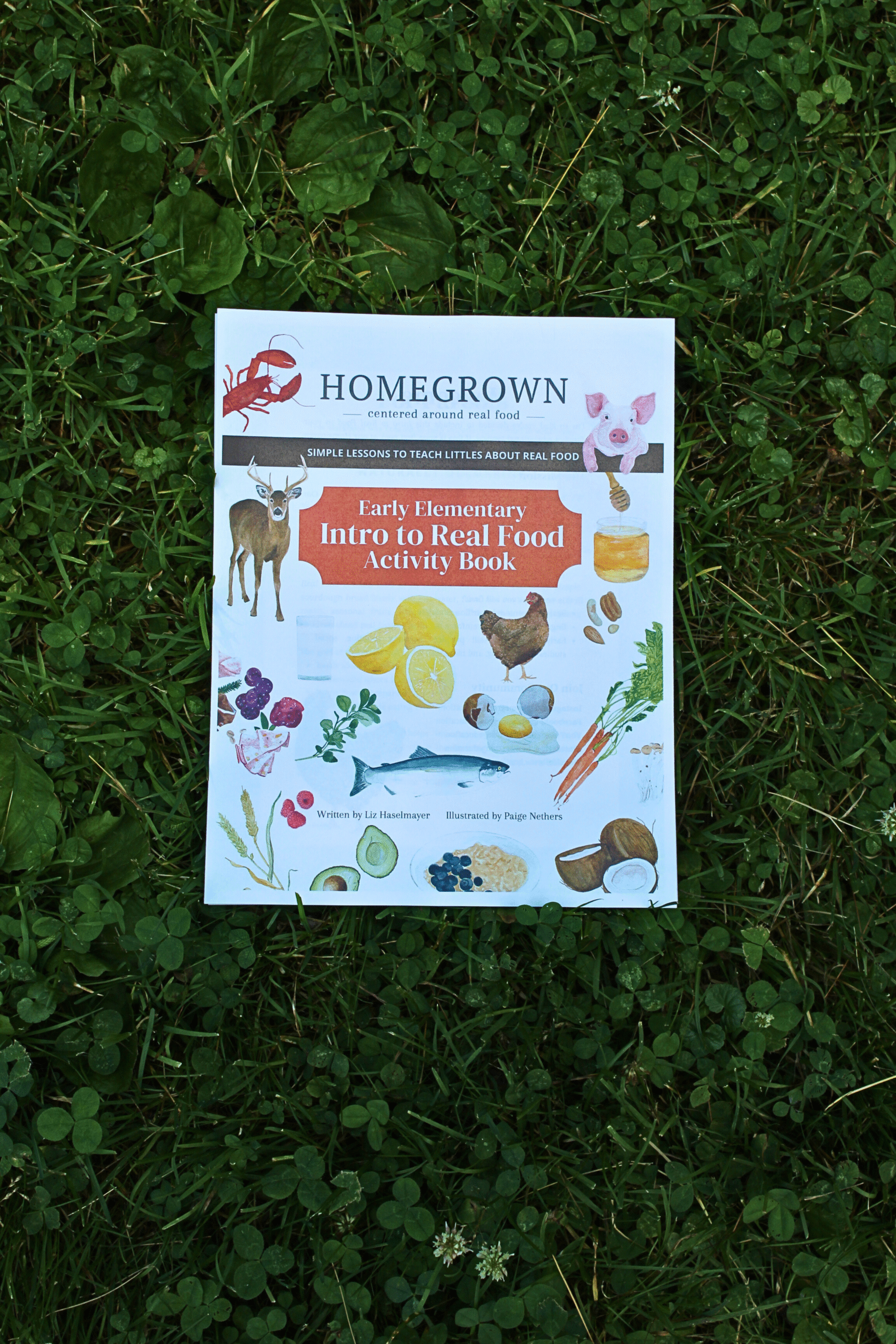 Intro to real food curriculum book placed in the grass