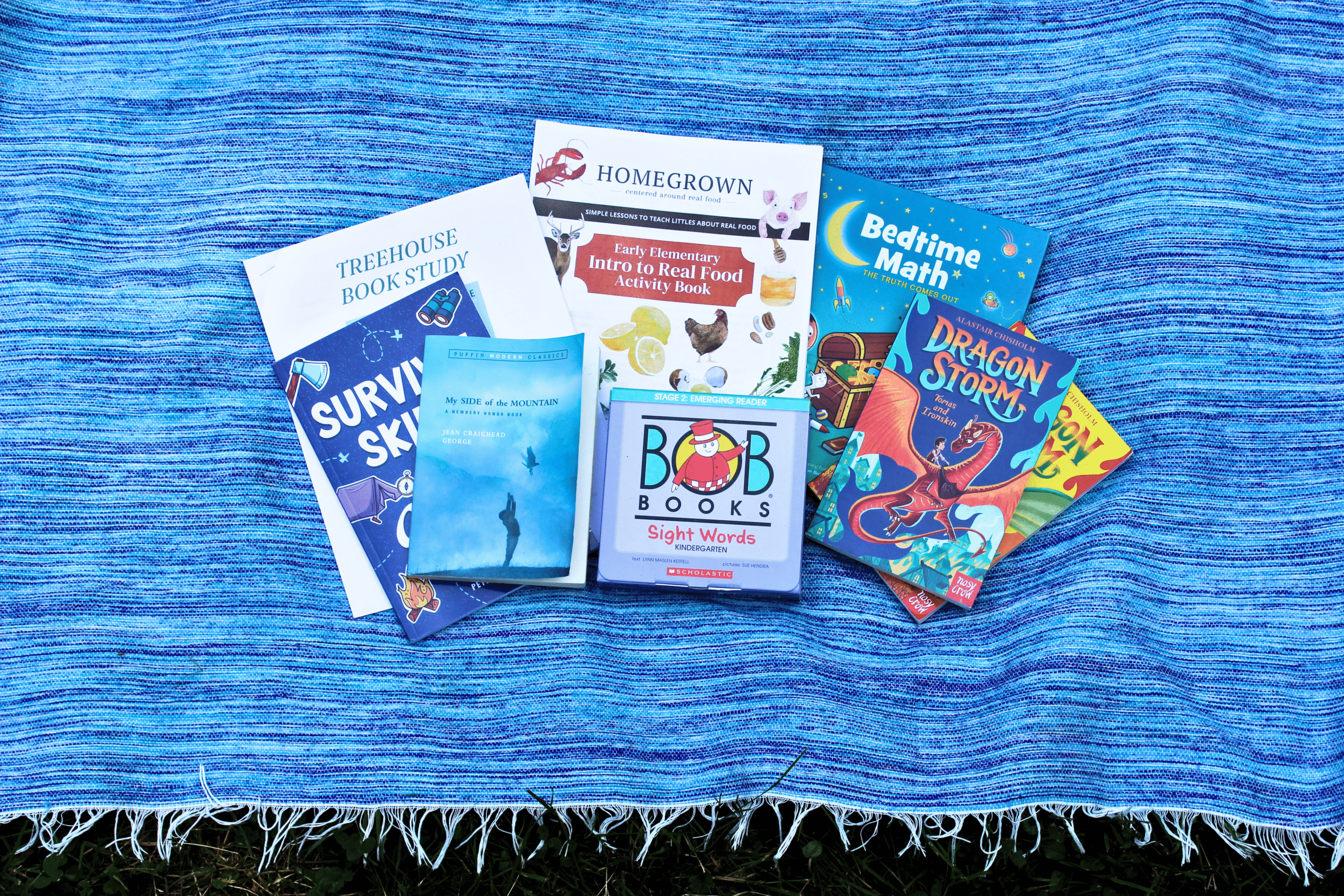Summer homeschool curriculum books laid out on blanket in yard