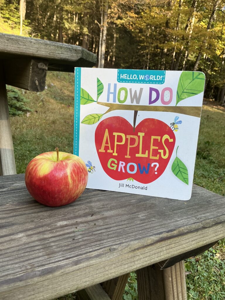 Baby board book about apple propped up on a bench in autumn