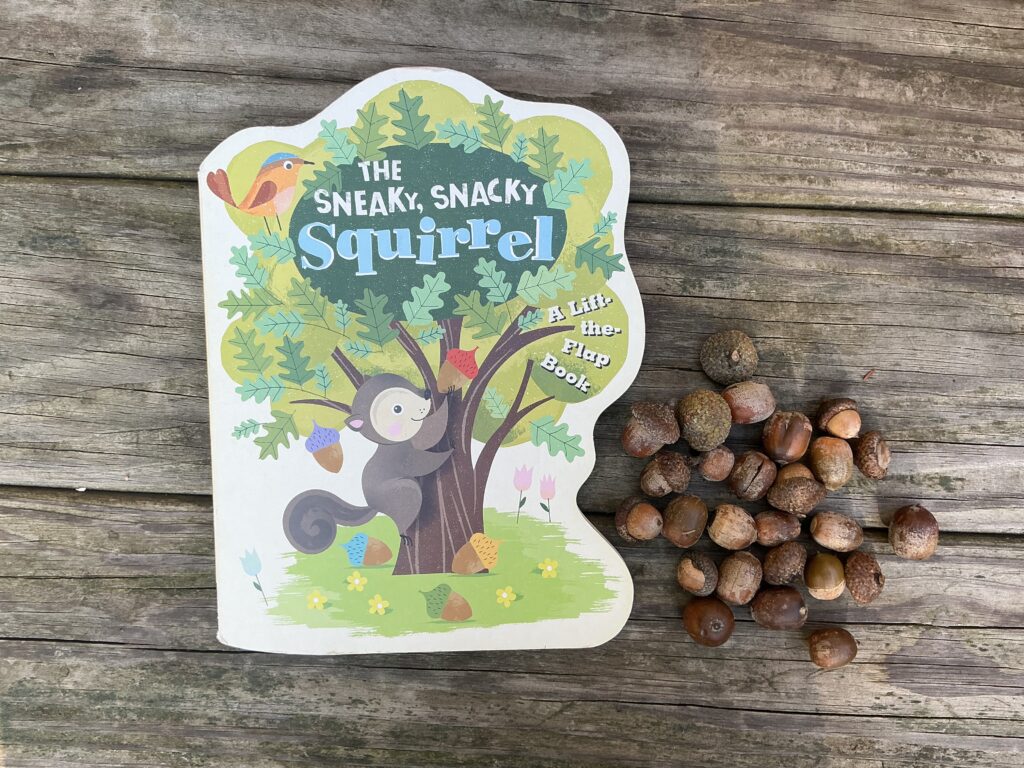 The sneaky snacky squirrel board book placed on a table with acorns