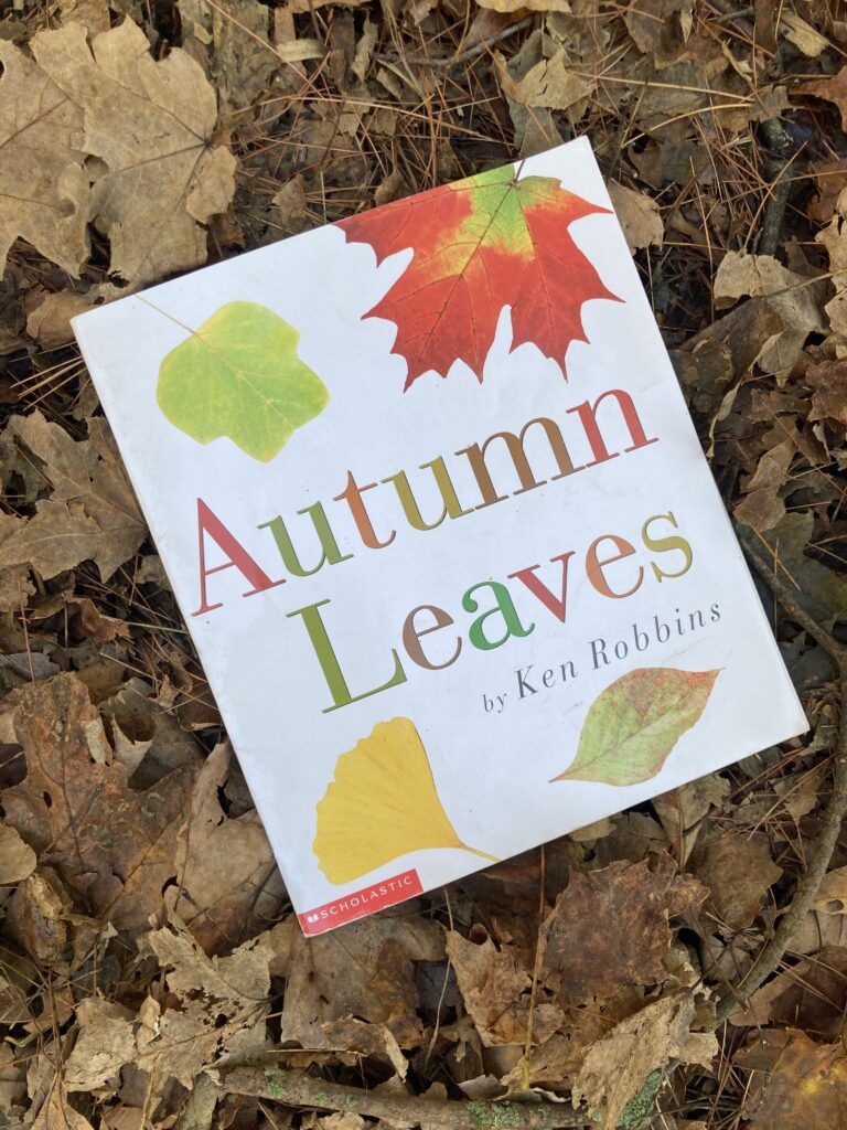 Atumn Leaves book laid on a pile of leaves