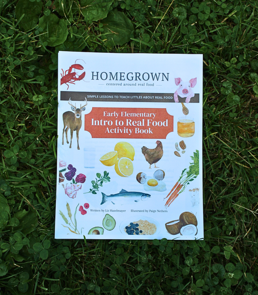 Homegrown education curriculum lying in the grass