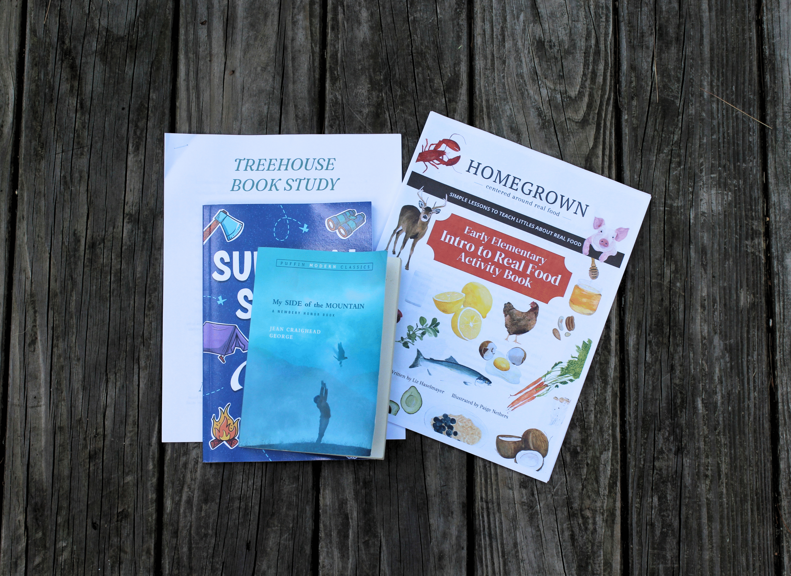 Summer learning materials placed on a picnic table